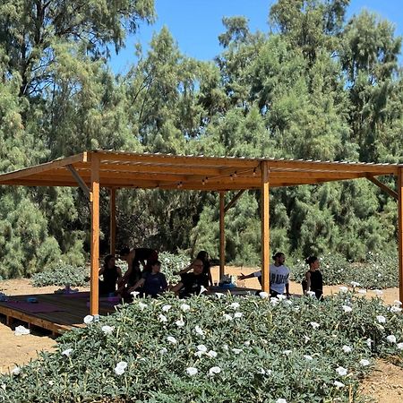 Rancho Dominique Valle De Guadalupe Exteriér fotografie
