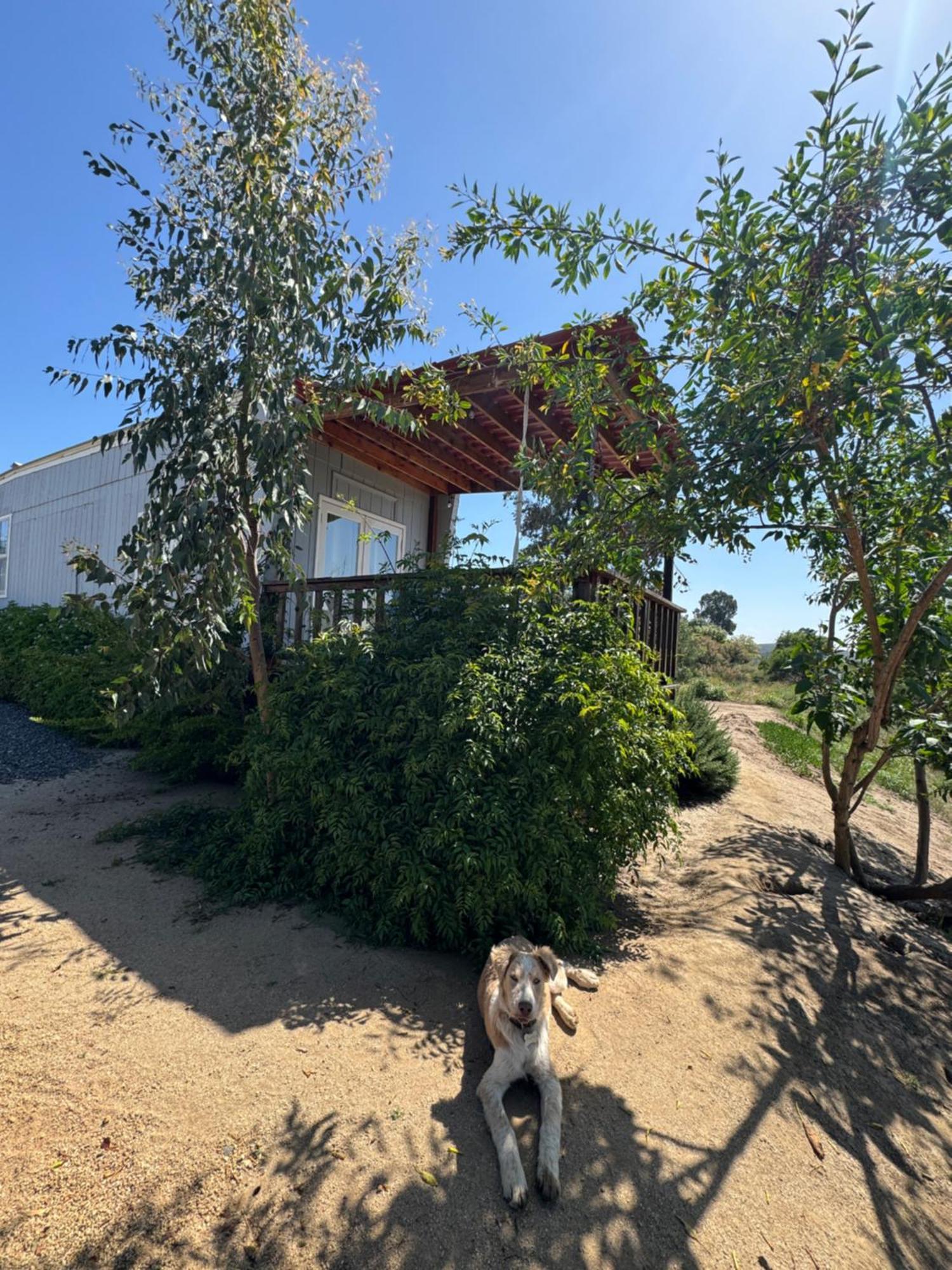 Rancho Dominique Valle De Guadalupe Exteriér fotografie