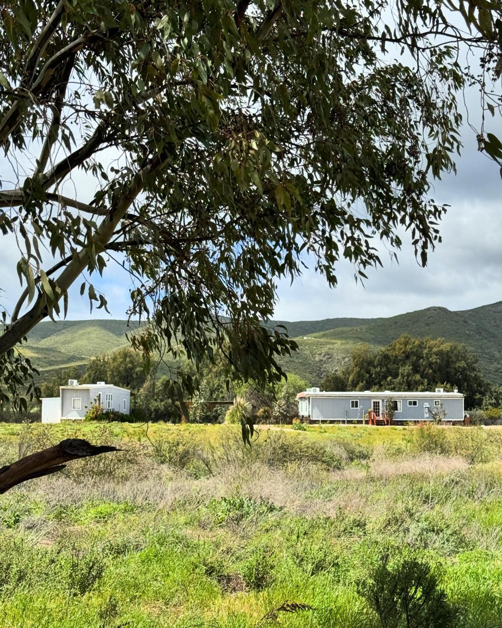 Rancho Dominique Valle De Guadalupe Exteriér fotografie