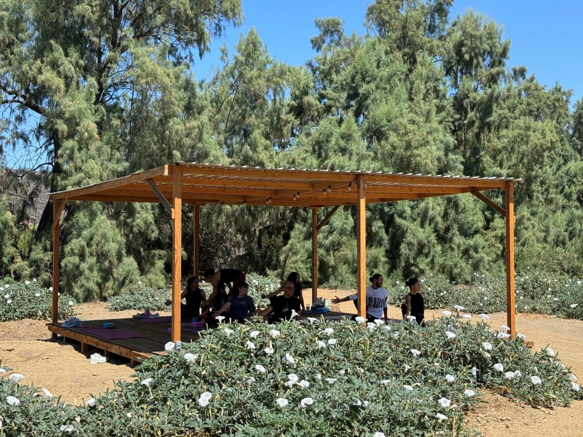 Rancho Dominique Valle De Guadalupe Exteriér fotografie